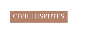 CIvIl DIsputes
